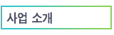 사업 소개